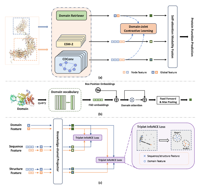 Paper 1 Image